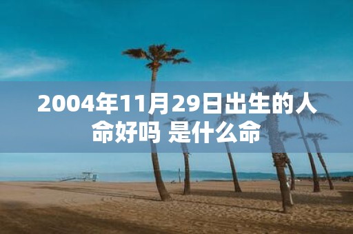 2004年11月29日出生的人命好吗 是什么命