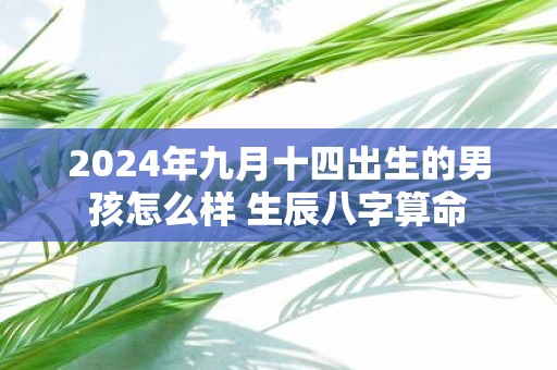 2025年九月十四出生的男孩怎么样 生辰八字算命