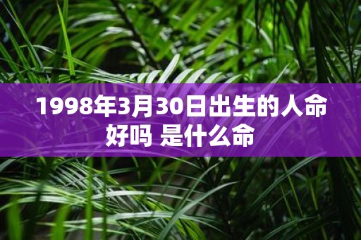 1998年3月30日出生的人命好吗 是什么命
