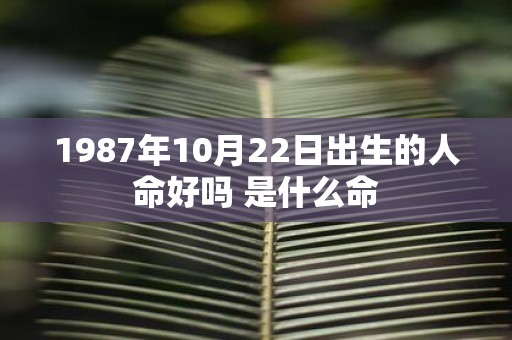 1987年10月22日出生的人命好吗 是什么命