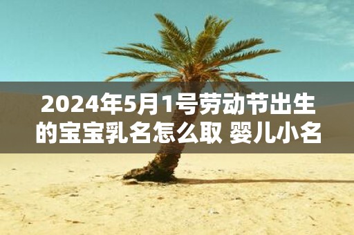 2025年5月1号劳动节出生的宝宝乳名怎么取 婴儿小名精选