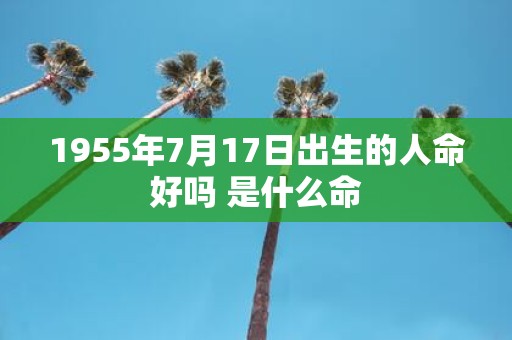 1955年7月17日出生的人命好吗 是什么命