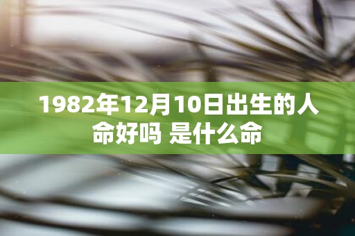 1982年12月10日出生的人命好吗 是什么命