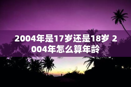2004年是17岁还是18岁 2004年怎么算年龄