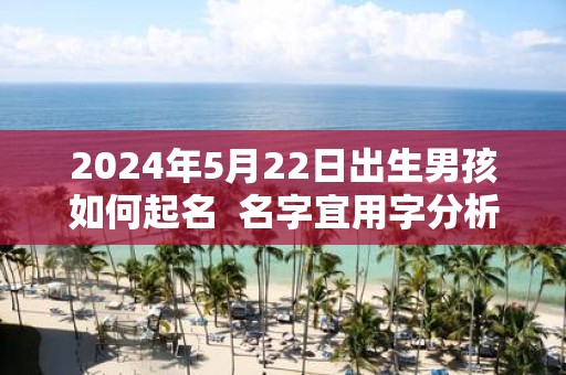 2025年5月22日出生男孩如何起名 名字宜用字分析