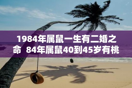 1984年属鼠一生有二婚之命 84年属鼠40到45岁有桃花劫