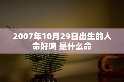 2007年10月29日出生的人命好吗 是什么命