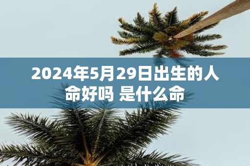 2025年5月29日出生的人命好吗 是什么命