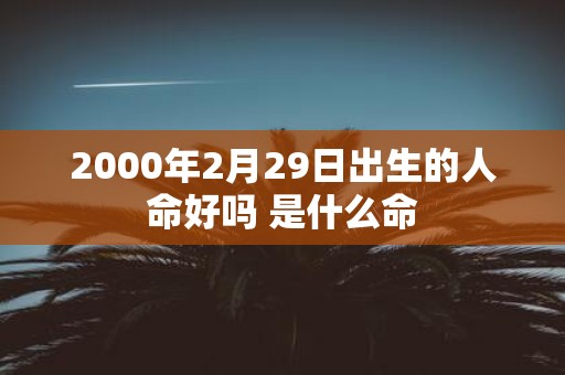 2000年2月29日出生的人命好吗 是什么命