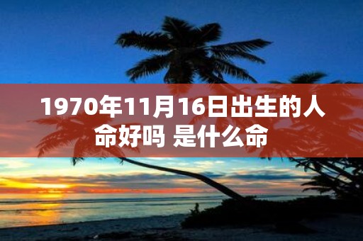 1970年11月16日出生的人命好吗 是什么命