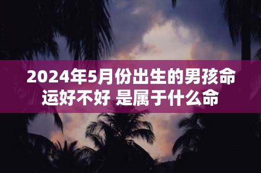 2025年5月份出生的男孩命运好不好 是属于什么命