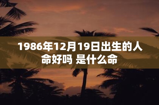 1986年12月19日出生的人命好吗 是什么命