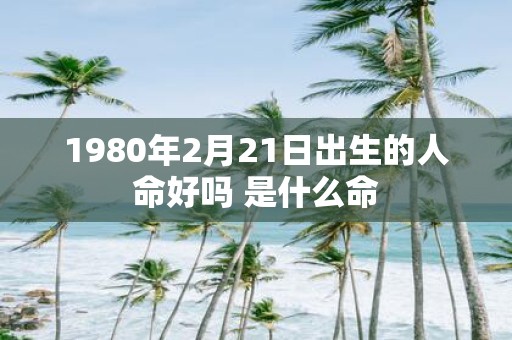 1980年2月21日出生的人命好吗 是什么命
