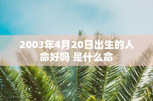 2003年4月20日出生的人命好吗 是什么命