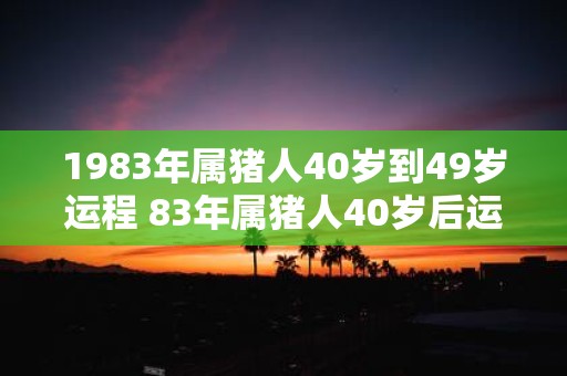 1983年属猪人40岁到49岁运程 83年属猪人40岁后运气好吗