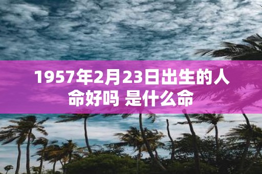 1957年2月23日出生的人命好吗 是什么命