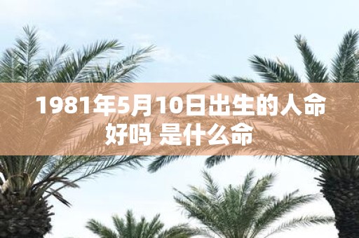 1981年5月10日出生的人命好吗 是什么命