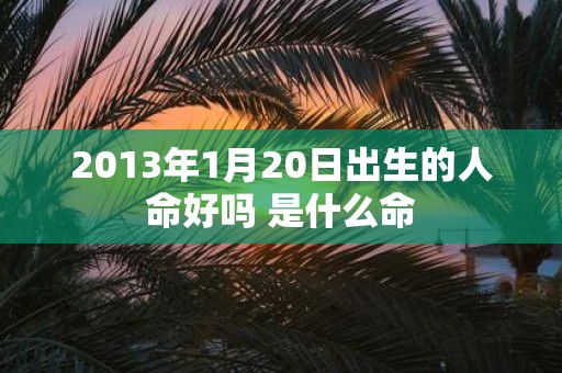 2013年1月20日出生的人命好吗 是什么命