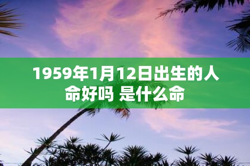 1959年1月12日出生的人命好吗 是什么命