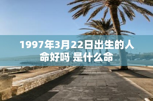 1997年3月22日出生的人命好吗 是什么命