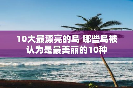 10大最漂亮的鸟 哪些鸟被认为是最美丽的10种