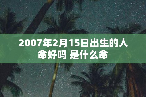 2007年2月15日出生的人命好吗 是什么命