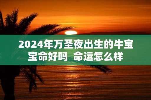 2025年万圣夜出生的牛宝宝命好吗 命运怎么样