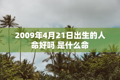 2009年4月21日出生的人命好吗 是什么命