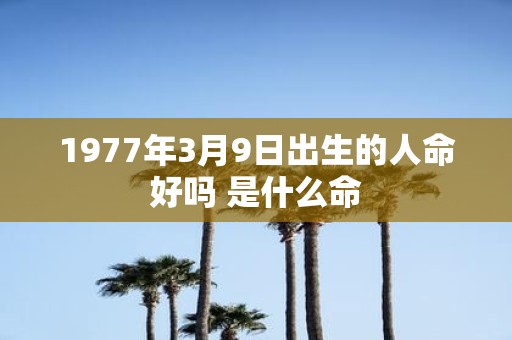 1977年3月9日出生的人命好吗 是什么命