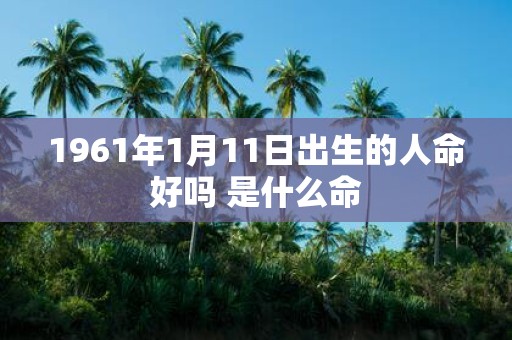 1961年1月11日出生的人命好吗 是什么命