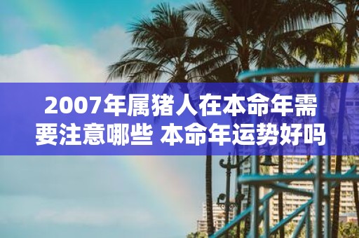 2007年属猪人在本命年需要注意哪些 本命年运势好吗