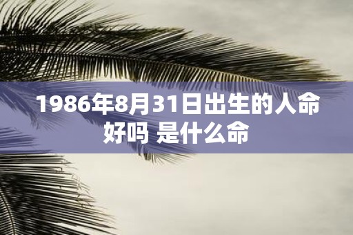 1986年8月31日出生的人命好吗 是什么命
