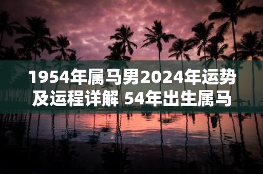 1954年属马男2025年运势及运程详解 54年出生属马人2025全年每月运势男性