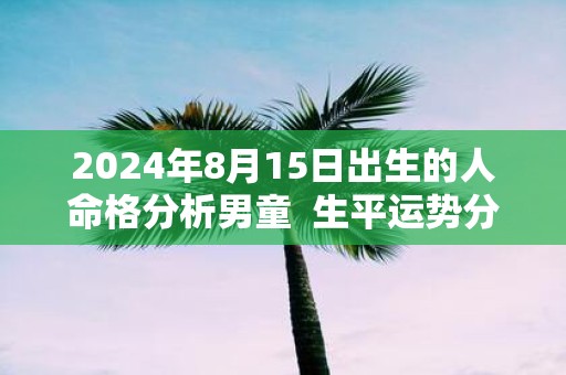 2025年8月15日出生的人命格分析男童 生平运势分析
