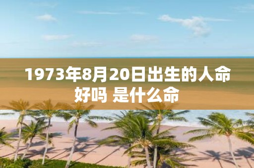 1973年8月20日出生的人命好吗 是什么命