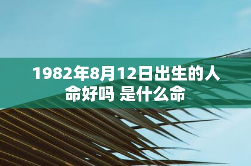 1982年8月12日出生的人命好吗 是什么命