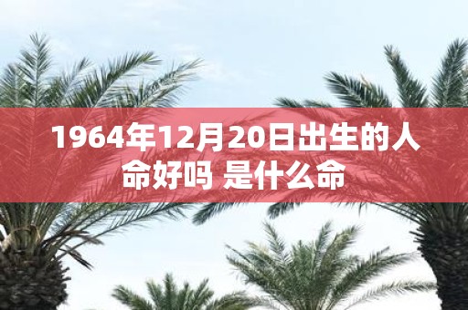 1964年12月20日出生的人命好吗 是什么命