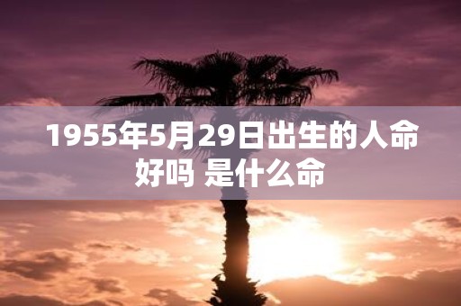 1955年5月29日出生的人命好吗 是什么命