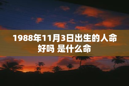 1988年11月3日出生的人命好吗 是什么命