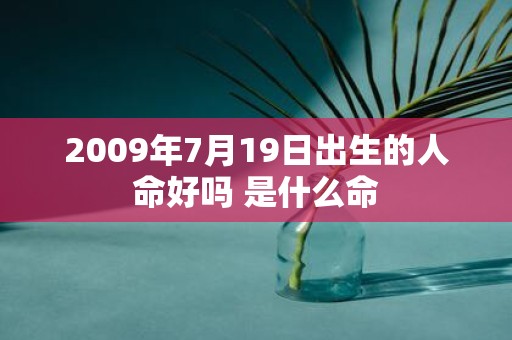 2009年7月19日出生的人命好吗 是什么命