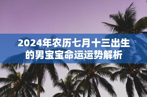 2025年农历七月十三出生的男宝宝命运运势解析