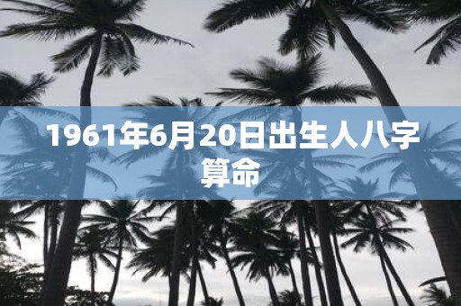 1961年6月20日出生人八字算命