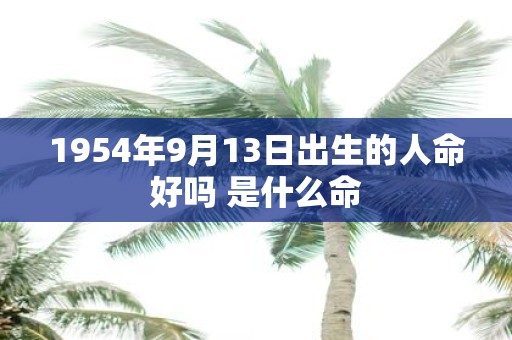 1954年9月13日出生的人命好吗 是什么命