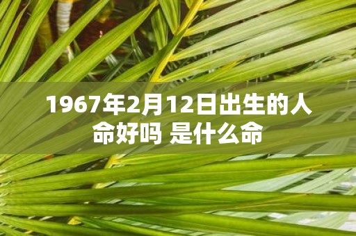 1967年2月12日出生的人命好吗 是什么命