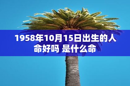 1958年10月15日出生的人命好吗 是什么命