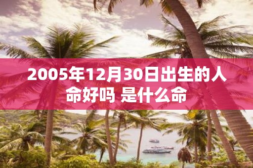 2005年12月30日出生的人命好吗 是什么命