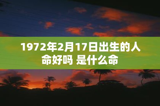 1972年2月17日出生的人命好吗 是什么命