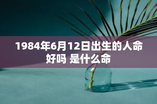 1984年6月12日出生的人命好吗 是什么命