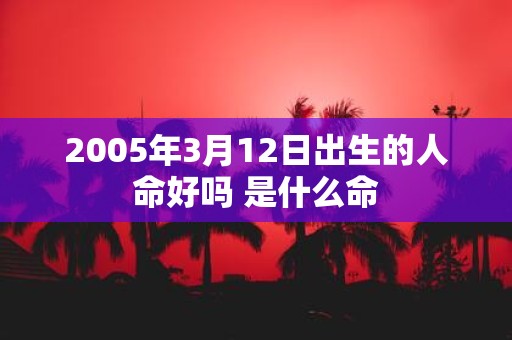 2005年3月12日出生的人命好吗 是什么命