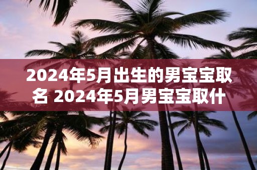 2025年5月出生的男宝宝取名 2025年5月男宝宝取什么名字
